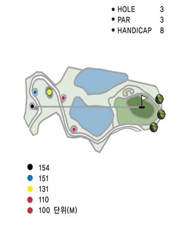 서코스 3번홀